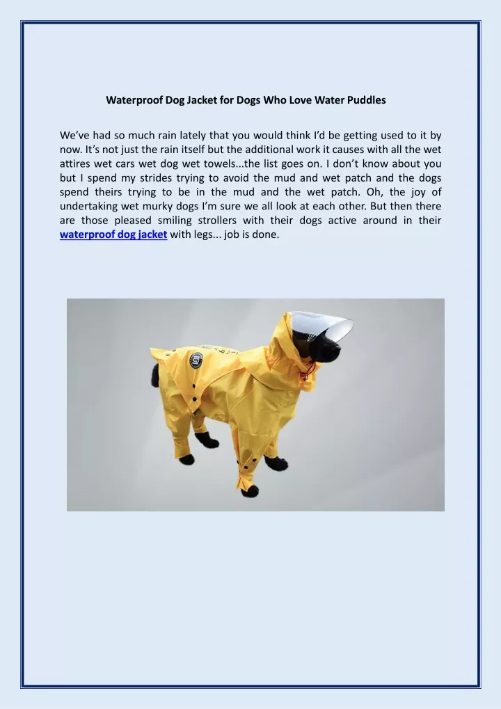 waterproof dog jacket for dogs who love water