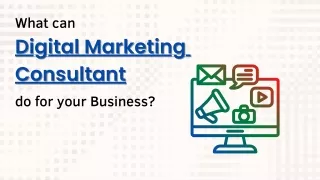 What can Digital Marketing Consultant do for your business ?