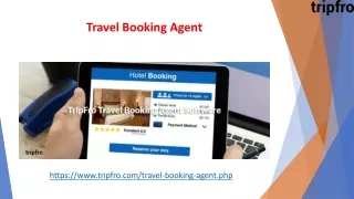 travel booking agent