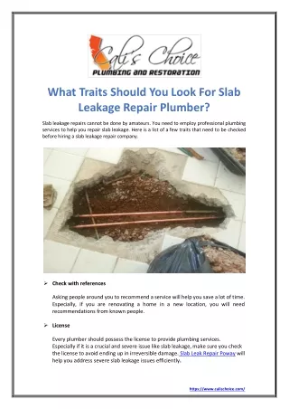 What Traits Should You Look For Slab Leakage Repair Plumber