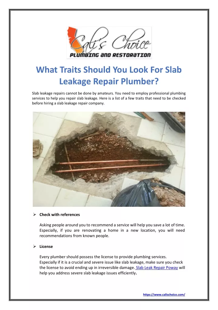 what traits should you look for slab leakage
