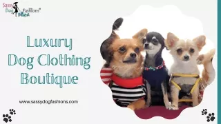 Luxury Dog Clothing Boutique