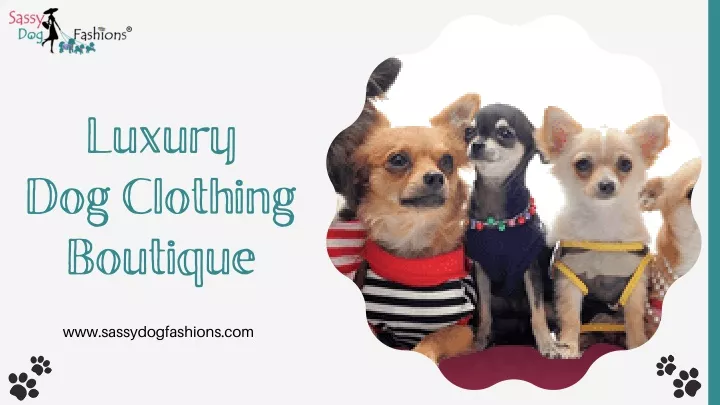 luxury dog clothing boutique