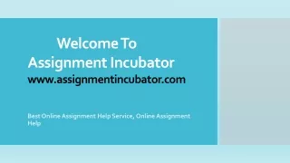 Online Assignment Help Service In Usa