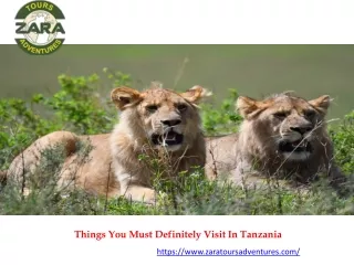 Things You Must Definitely Visit In Tanzania