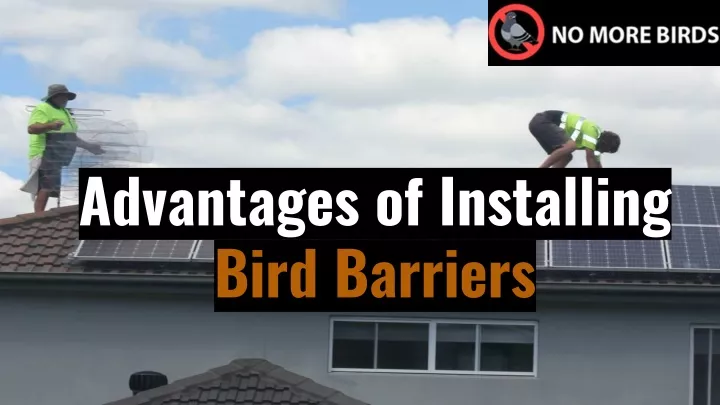 advantages of installing bird barriers