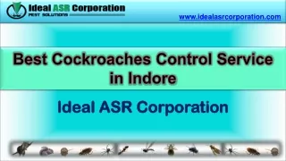 www idealasrcorporation com