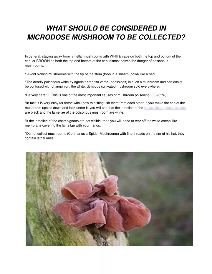 what should be considered in microdose mushroom