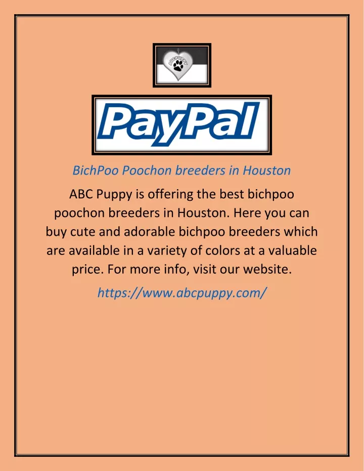 bichpoo poochon breeders in houston