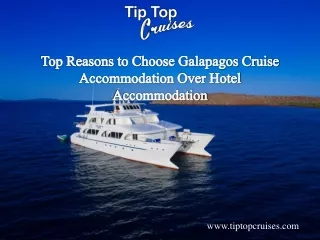 Top Reasons to Choose Galapagos Cruise Accommodation Over Hotel Accommodation