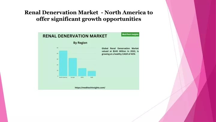 renal denervation market north america to offer