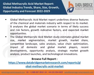 global methacrylic acid market report global