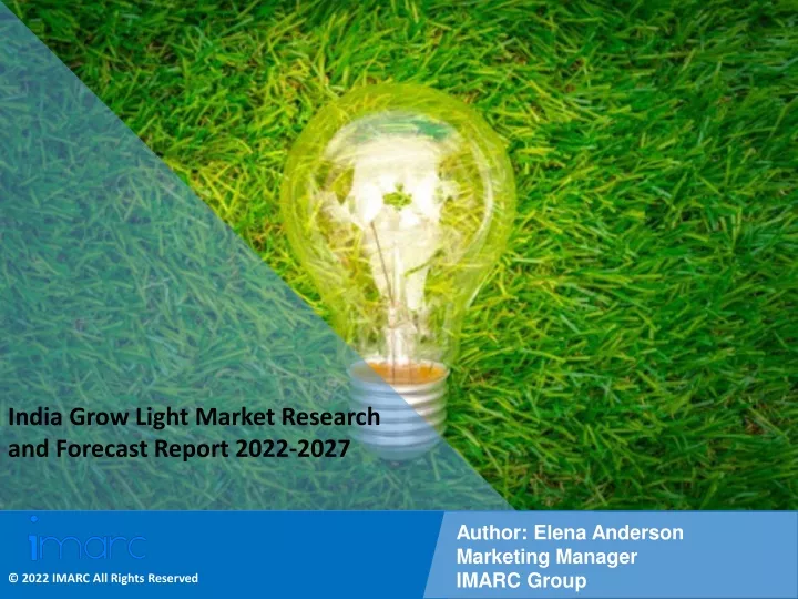 india grow light market research and forecast