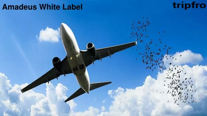 amadeus white label