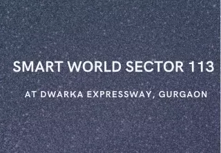 smart world sector 113