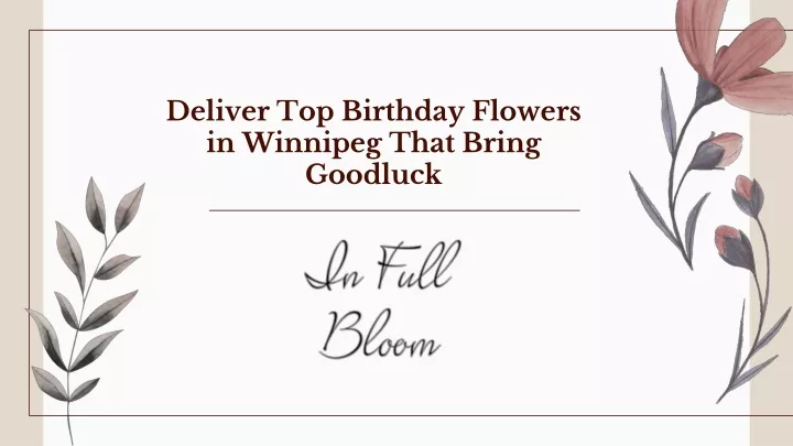 deliver top birthday flowers in winnipeg that bring goodluck