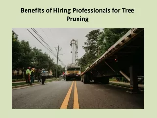 Benefits of Hiring Professionals for Tree Pruning