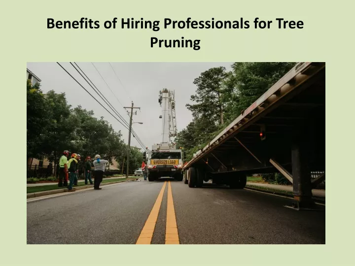 benefits of hiring professionals for tree pruning