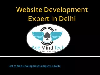 Website Development Expert in Delhi Acemindtech