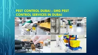 Pest Control Dubai - SMG Pest Control Services
