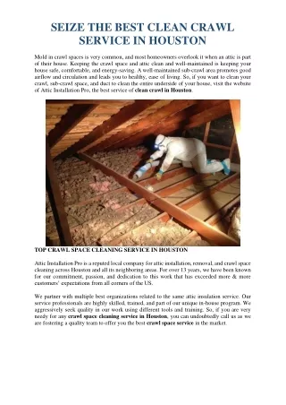 seize the best clean crawl service in houston