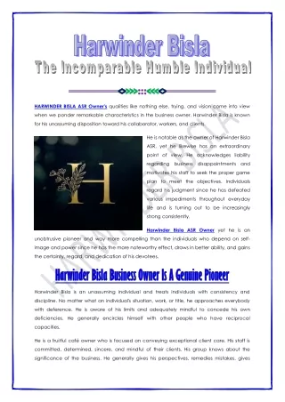 Harwinder Bisla The Business Owner