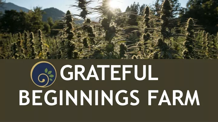 grateful beginnings farm