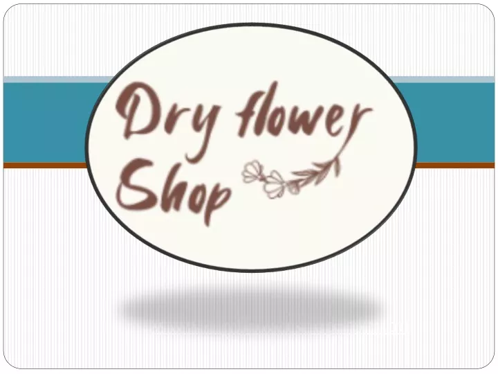 www dryflowershop com au