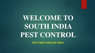 welcome to south india pest control pest free disease free