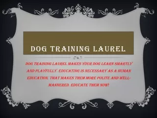 Dog Training Laurel