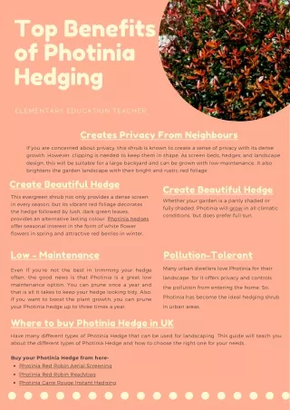 Top Benefits of Photinia Hedging