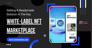 Getting A Readymade Solution Is The Key White-label NFT Marketplace