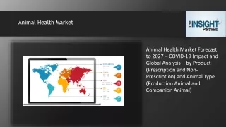 Animal Health Market