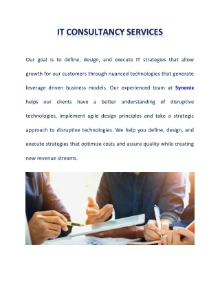 IT CONSULTANCY SERVICES