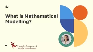 What is Mathematical Modelling? programming homework help