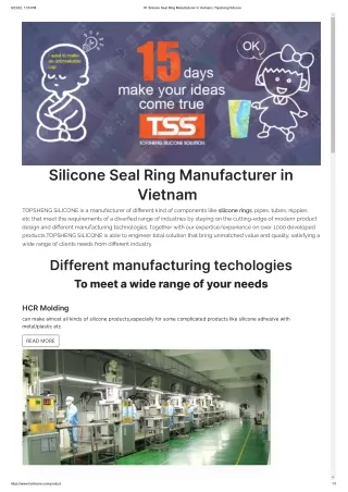 #1 Silicone Seal Ring Manufacturer in Vietnam - Topsheng Silicone