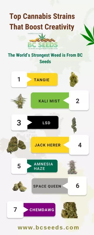 Top Cannabis Strains That Boost Creativity