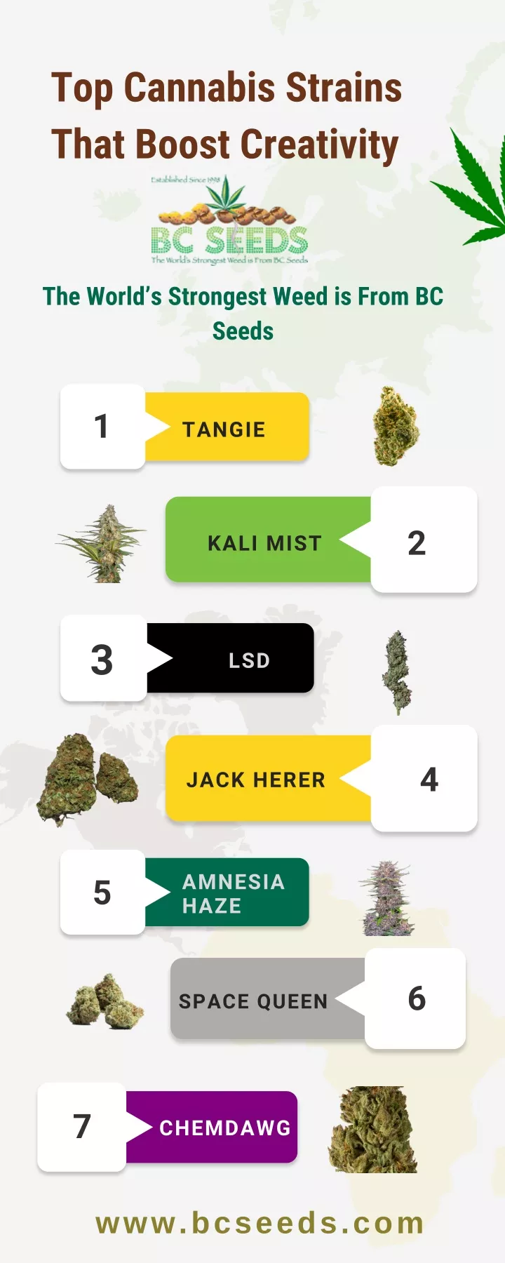 PPT - Top Cannabis Strains That Boost Creativity PowerPoint ...