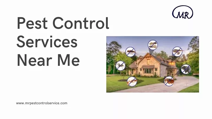 pest control services near me