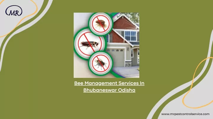 bee management services in bhubaneswar odisha