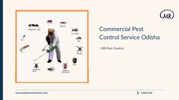 commercial pest control service odisha