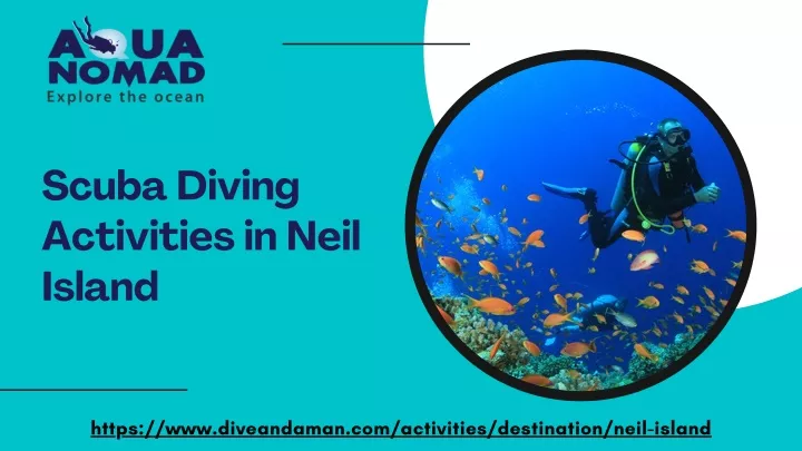 scuba diving activities in neil island