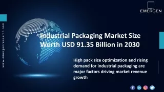 Industrial Packaging Market