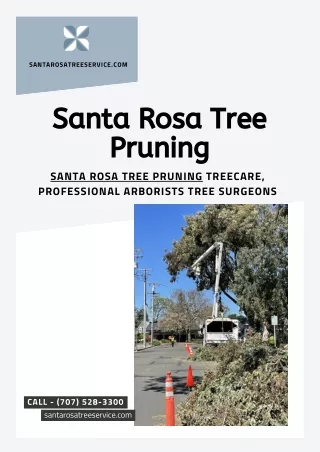 santarosatreeservice com