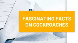 Fascinating facts on cockroaches