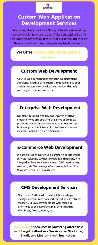 Custom Web Application Development Services | Burncodes