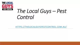 Termite Inspection Perth | Thelocalguyspestcontrol.com.au