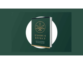 https://www.dailyuw.com/ask_the_experts/exposed-update-exodus-effect-reviews-amazon-rated-get-your-book-now/article_2d89