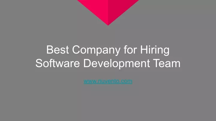 best company for hiring software development team