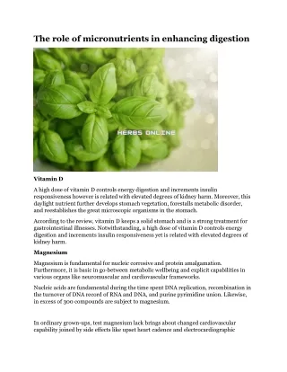 the role of micronutrients in enhancing digestion
